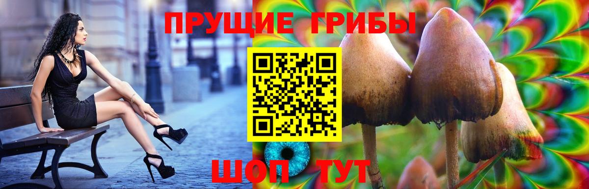 Ивантеевка  купить  цена  Вход с VPN  Галлюциногенные грибы мухоморы 